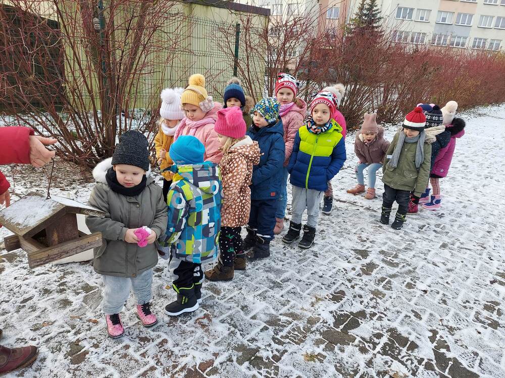 grupa biedronki