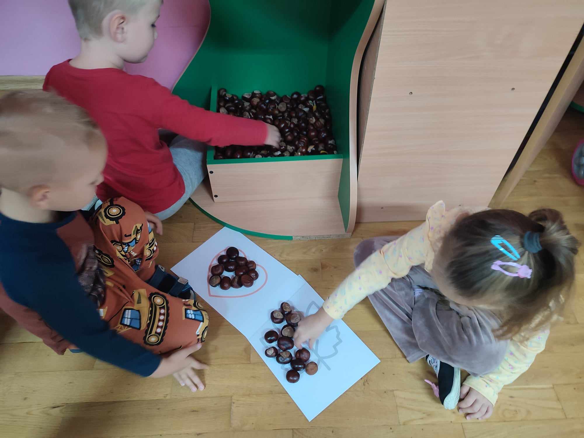 grupa motylki