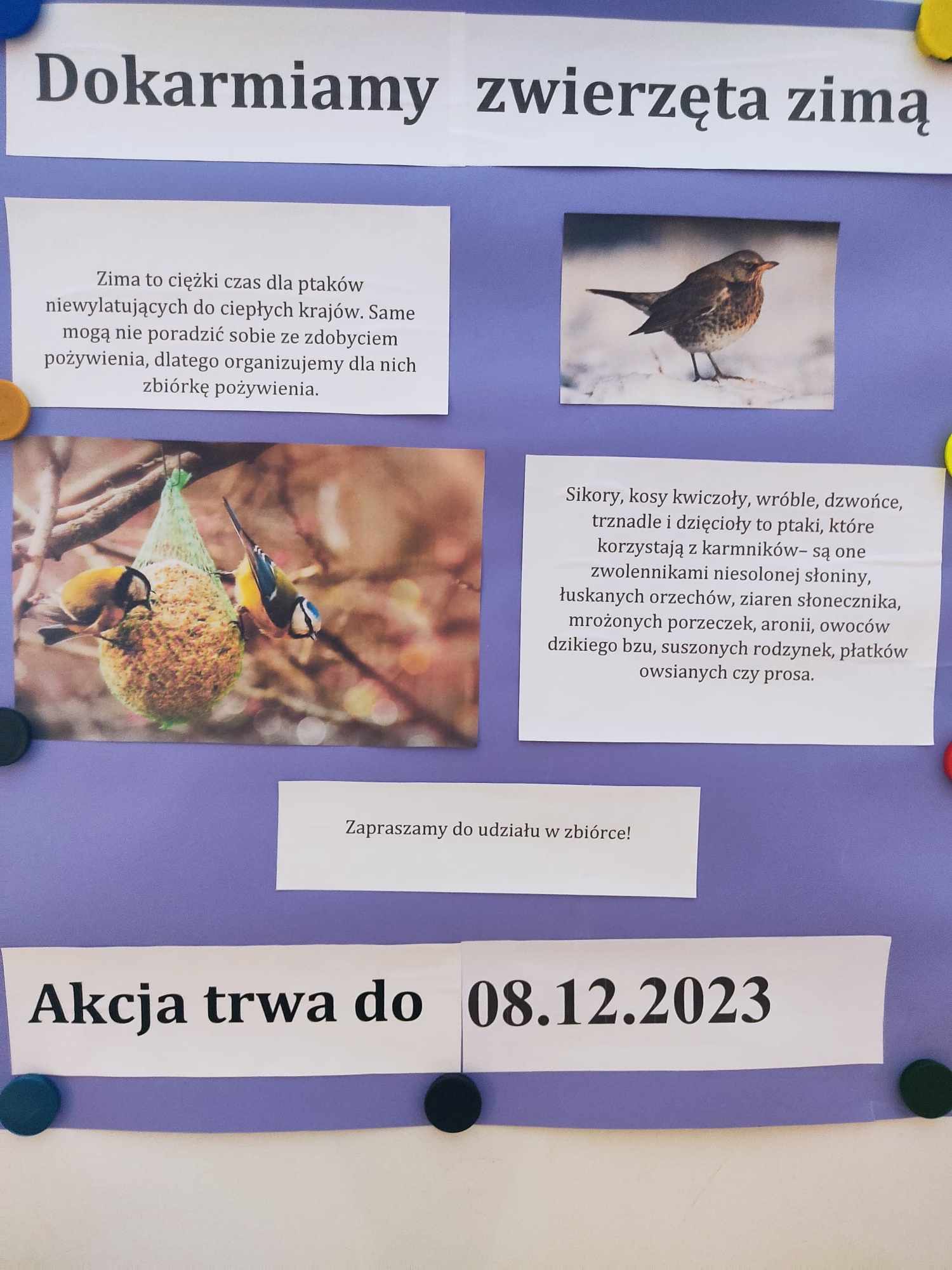 Plakat 