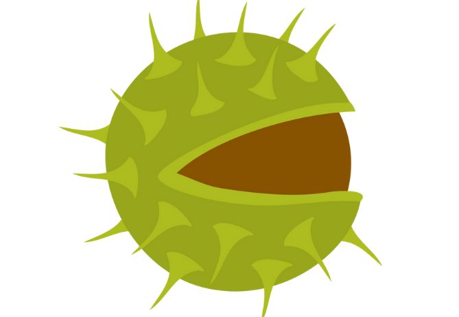 Kasztan