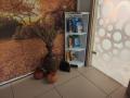 biblioteka dla rodziców